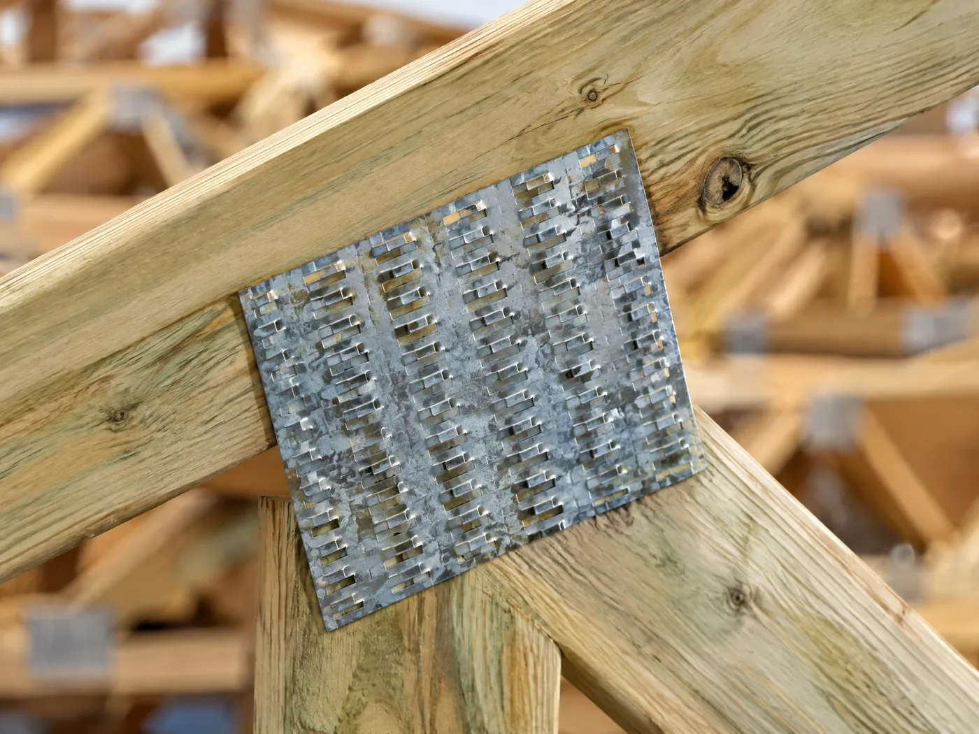 Nail plate pressed into a treated pine roof truss